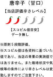 【生鮮品】国産 生 赤唐辛子 甘口-中辛 500g