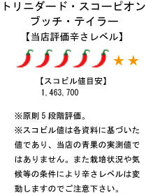 【冷凍品】国産 生 トリニダード・スコーピオン・ブッチ・テイラー(赤) 20g