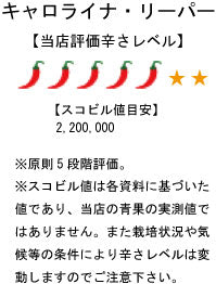 【冷凍品】国産 生 キャロライナ・リーパー(レッド) 100g