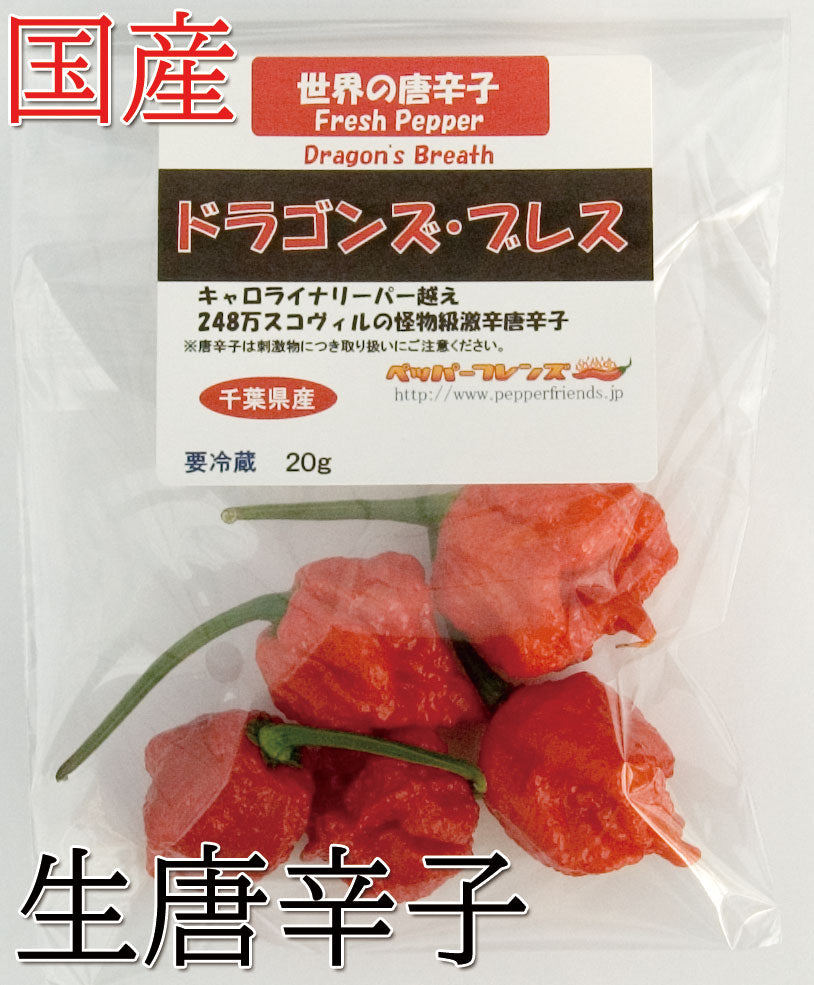【生鮮品】国産 生 ドラゴンズ・ブレス(レッド) 20g