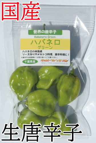 【生鮮品】国産 生 ハバネロ(グリーン) 50g