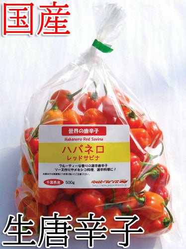 【生鮮品】国産 生 ハバネロ レッドサビナ(レッド) 500g