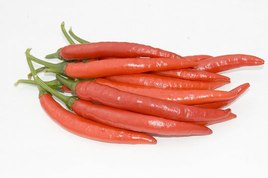 【生鮮品】国産 生 赤唐辛子 辛口 50g