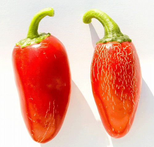 【生鮮品】国産 生 ハラペーニョ(レッド) 70g ☆SALE☆