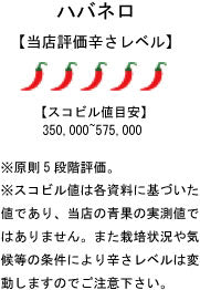 【生鮮品】国産 生 ハバネロ レッドサビナ(レッド) 50g