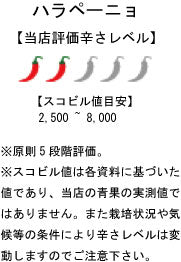 【生鮮品】国産 生 ハラペーニョ(レッド) 500g ☆SALE☆