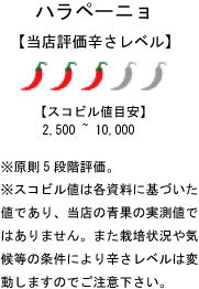 【冷凍品】国産 生 ハラペーニョ(グリーン) 70g