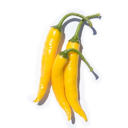 【生鮮品】国産 生 黄唐辛子 250g