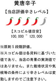 【冷凍品】国産 生 黄唐辛子 50g
