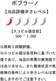 【生鮮品】国産 生 ポブラーノ 200g