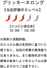 【生鮮品】国産 生 プリッキーヌ(グリーン) ロングタイプ 50g
