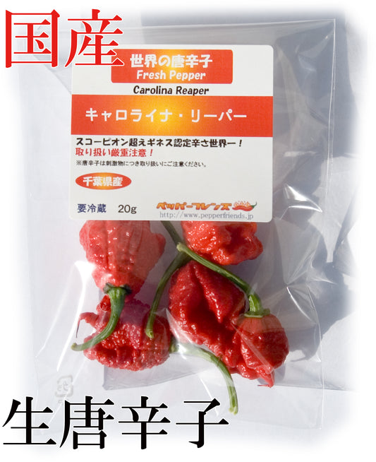 【生鮮品】国産 生 キャロライナ・リーパー(レッド) 20g