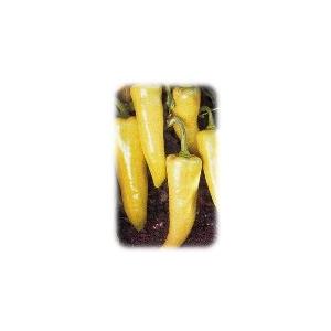 【生鮮品】国産 生 バナナピーマン 200g