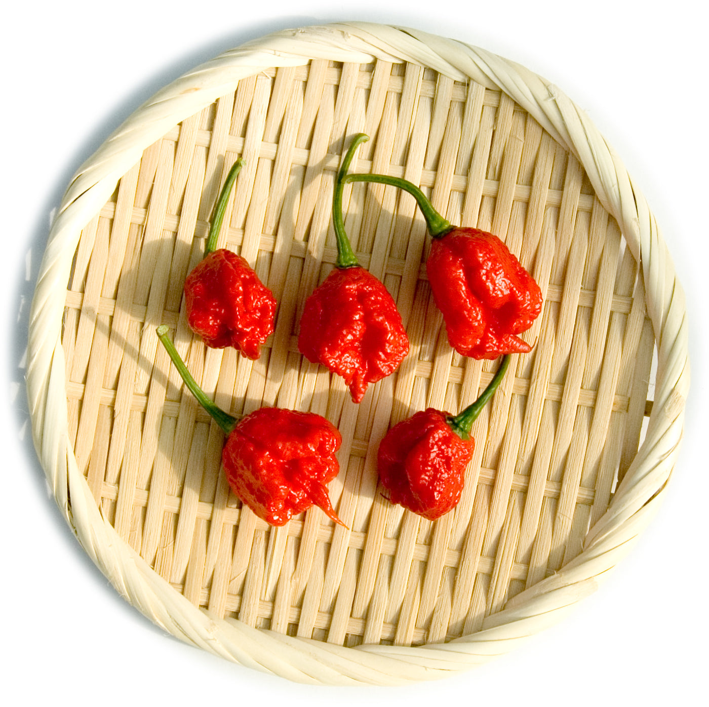 生唐辛子販売・通販のペッパーフレンズ