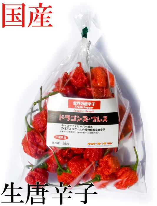 【生鮮品】国産 生 ドラゴンズ・ブレス(レッド) 250g