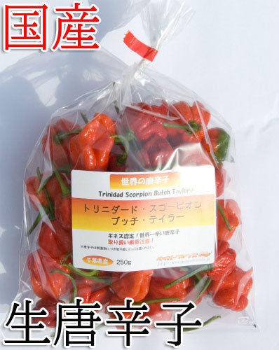 【生鮮品】国産 生 トリニダード・スコーピオン・ブッチ・テイラー(赤) 250g
